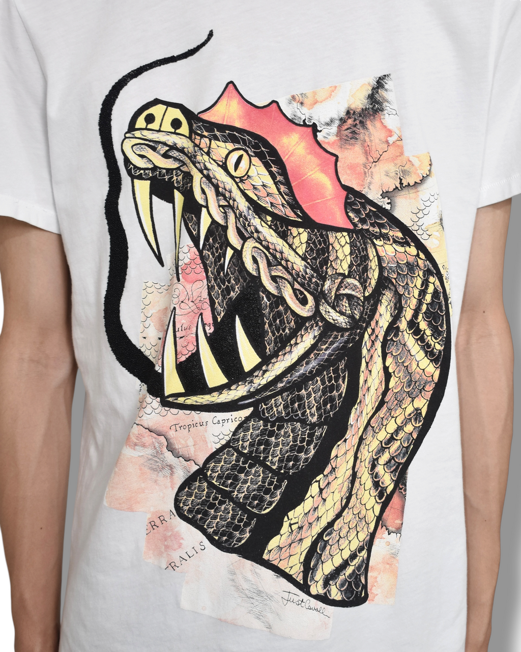 JUST CAVALLI snake T-shirt