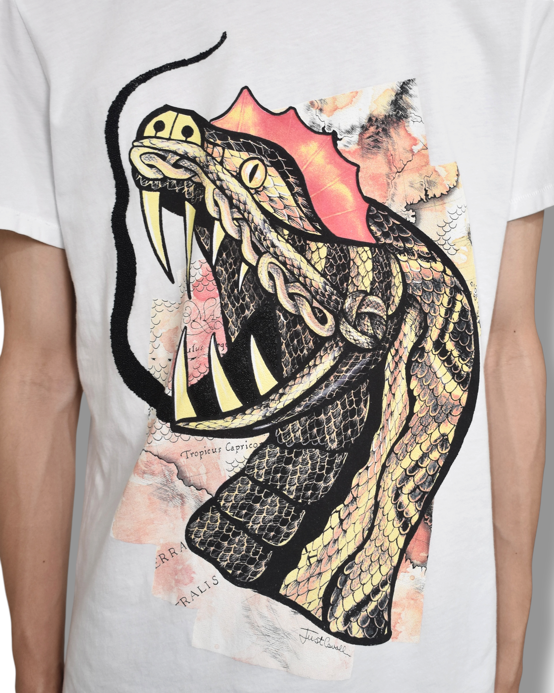 JUST CAVALLI snake T-shirt